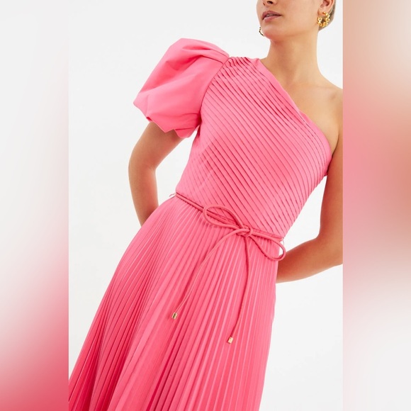 Rebecca Vallance Rosa One Shoulder Pleated Midi Dress in Pink Size US6 AU10 - Picture 4 of 16
